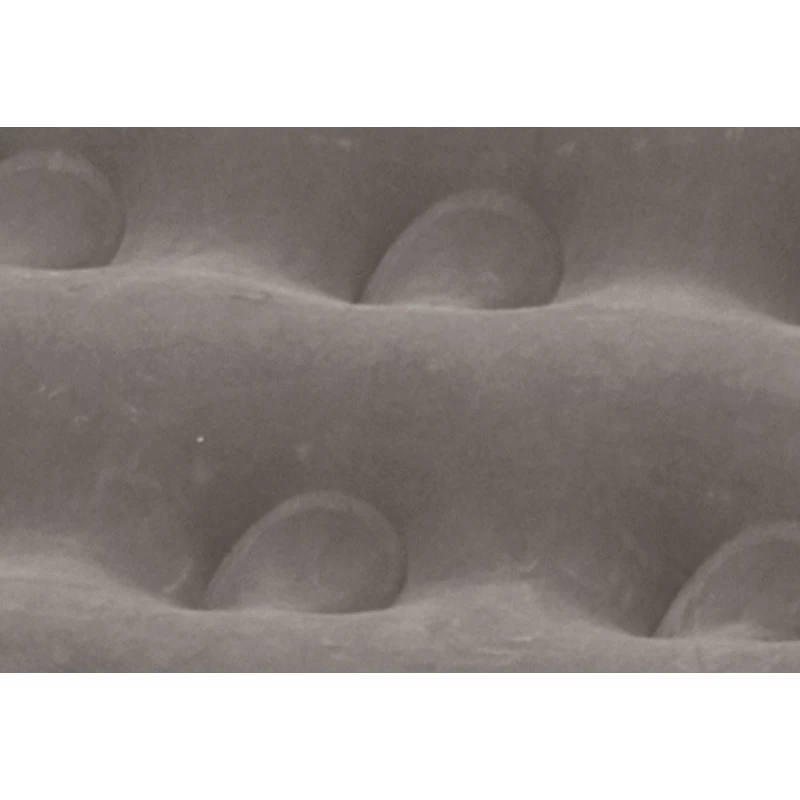 OUTWELL Flock Excellent 4 OUTWELL Flock Excellent – Image 4